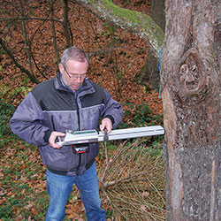 Bohrwiderstandsmessung an einem durch Verbiss geschädigten Apfelbaum Bohrwiderstandsmessung an einem durch Verbiss geschädigten Apfelbaum