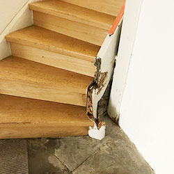 Echter Hausschwamm (Serpula lacrymans) zerstört Holztreppe und umliegende Einbauten Echter Hausschwamm (Serpula lacrymans) zerstört Holztreppe und umliegende Einbauten