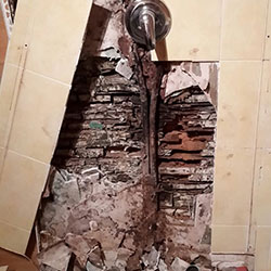 Undichter Anschluss einer Wasserleitung führt zur Zerstörung einer massiven Holzwand durch Pilzbefall Undichter Anschluss einer Wasserleitung führt zur Zerstörung einer massiven Holzwand durch Pilzbefall